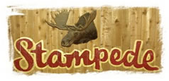 stampede